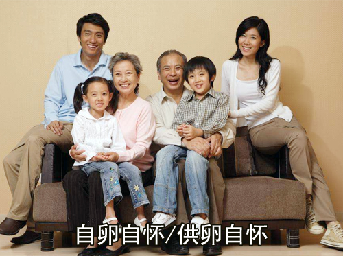 TC1：自卵自怀/供卵自怀