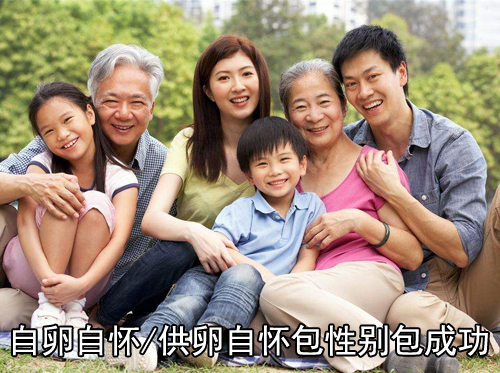 TC3：自卵自怀/供卵自怀包性别包成功