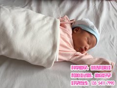 试管助孕成功诞生一名健康男宝宝