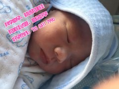 广州代妈网给中年失独家庭带来生活的希望