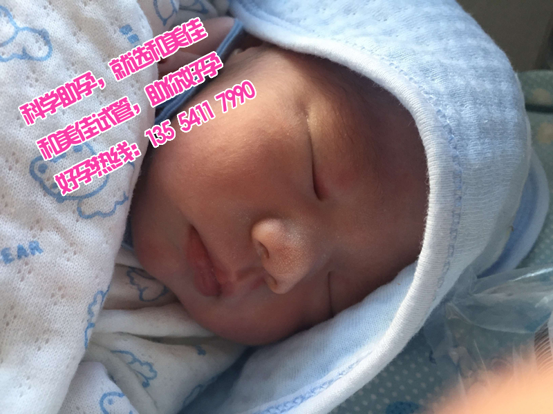 广州代妈网给中年失独家庭带来生活的希望