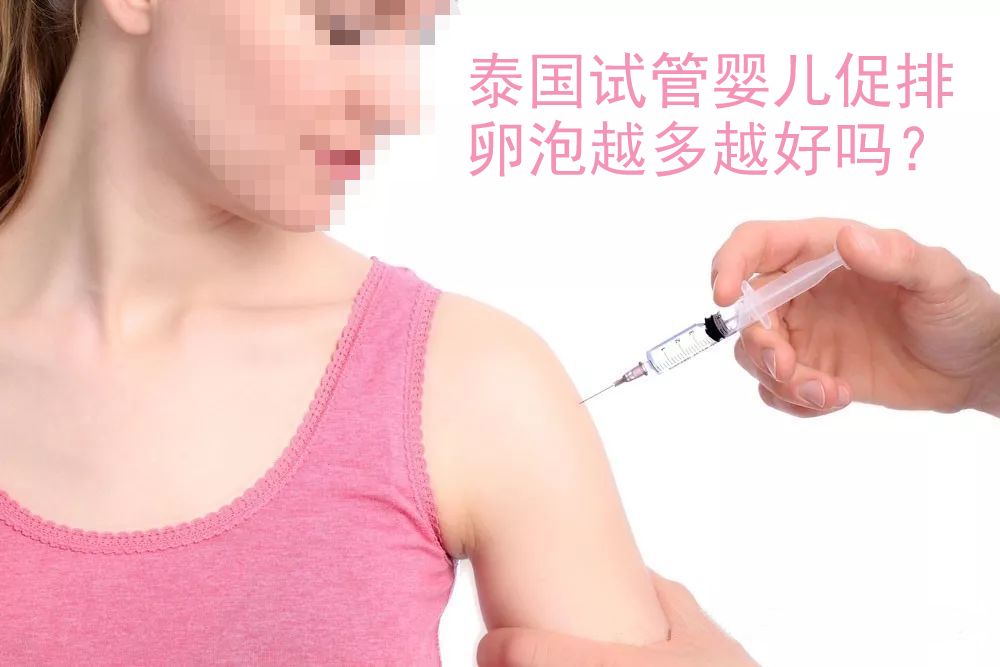泰国试管婴儿促排,卵泡越多越好吗?