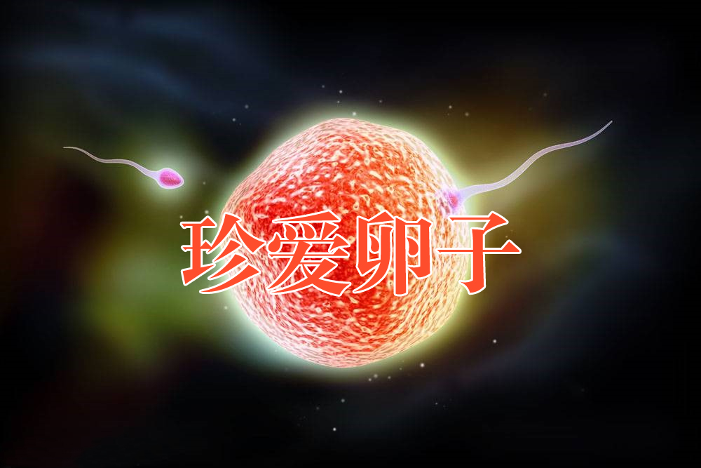 珍爱卵子