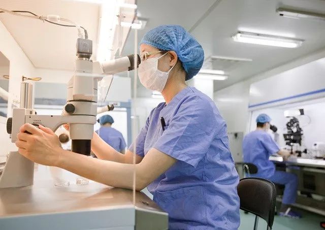 试管婴儿实验室