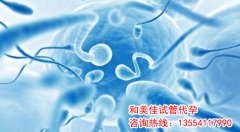 怎么做才能养出“高颜值”卵泡