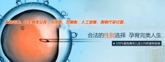 为什么冬季养卵最有效？