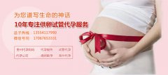 试管移植前怎样挑选健康胚胎